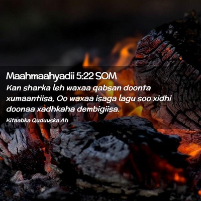 Picture 02 - Maahmaahyadii 5:22 SOM - Kan sharka leh waxaa qabsan doonta xumaantiisa, - Bible Verse Picture