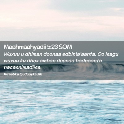 Picture 02 - Maahmaahyadii 5:23 SOM - Wuxuu u dhiman doonaa edbinla'aanta, Oo isagu - Bible Verse Picture