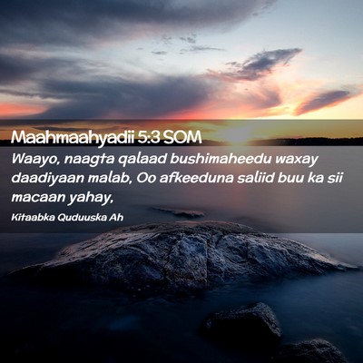 Picture 02 - Maahmaahyadii 5:3 SOM - Waayo, naagta qalaad bushimaheedu waxay daadiyaan - Bible Verse Picture