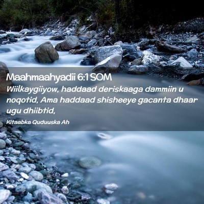 Picture 02 - Maahmaahyadii 6:1 SOM - Wiilkaygiiyow, haddaad deriskaaga dammiin u - Bible Verse Picture