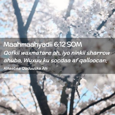 Picture 02 - Maahmaahyadii 6:12 SOM - Qofkii waxmatare ah, iyo ninkii sharrow ahuba, - Bible Verse Picture