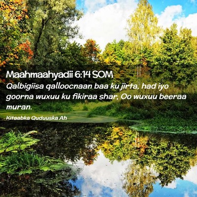 Picture 02 - Maahmaahyadii 6:14 SOM - Qalbigiisa qalloocnaan baa ku jirta, had iyo - Bible Verse Picture