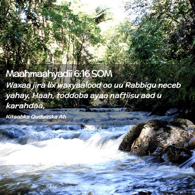 Picture 02 - Maahmaahyadii 6:16 SOM - Waxaa jira lix waxyaalood oo uu Rabbigu neceb - Bible Verse Picture