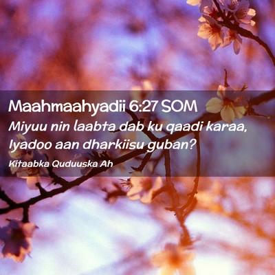 Picture 02 - Maahmaahyadii 6:27 SOM - Miyuu nin laabta dab ku qaadi karaa, Iyadoo aan - Bible Verse Picture