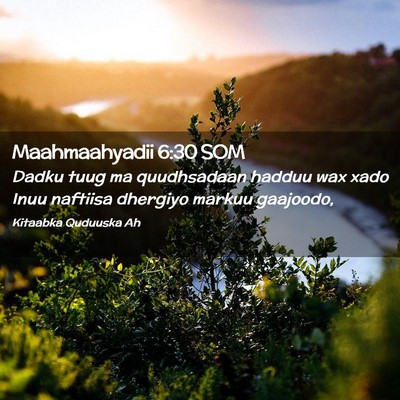 Picture 02 - Maahmaahyadii 6:30 SOM - Dadku tuug ma quudhsadaan hadduu wax xado Inuu - Bible Verse Picture