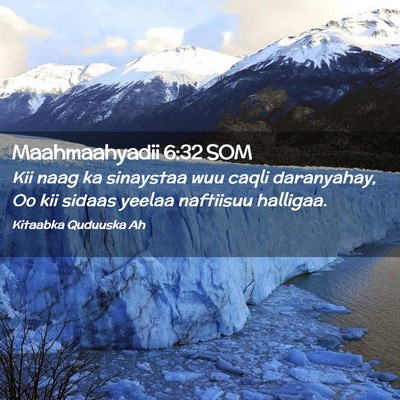 Picture 02 - Maahmaahyadii 6:32 SOM - Kii naag ka sinaystaa wuu caqli daranyahay, Oo - Bible Verse Picture