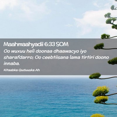 Picture 02 - Maahmaahyadii 6:33 SOM - Oo wuxuu heli doonaa dhaawacyo iyo sharafdarro; - Bible Verse Picture