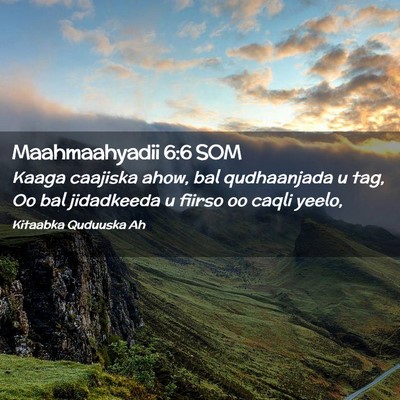 Picture 02 - Maahmaahyadii 6:6 SOM - Kaaga caajiska ahow, bal qudhaanjada u tag, Oo - Bible Verse Picture