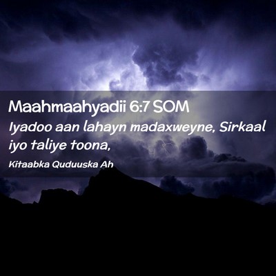 Picture 02 - Maahmaahyadii 6:7 SOM - Iyadoo aan lahayn madaxweyne, Sirkaal iyo taliye - Bible Verse Picture