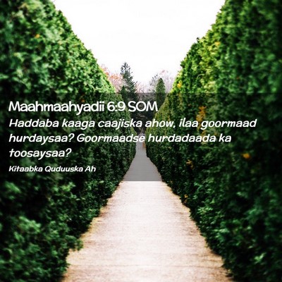 Picture 02 - Maahmaahyadii 6:9 SOM - Haddaba kaaga caajiska ahow, ilaa goormaad - Bible Verse Picture