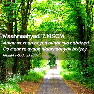 Picture 02 - Maahmaahyadii 7:14 SOM - Anigu waxaan hayaa allabaryo nabdeed, Oo maanta - Bible Verse Picture