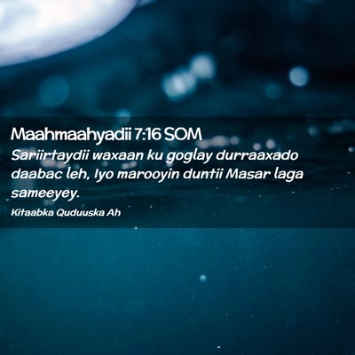Picture 02 - Maahmaahyadii 7:16 SOM - Sariirtaydii waxaan ku goglay durraaxado daabac - Bible Verse Picture
