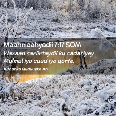 Picture 02 - Maahmaahyadii 7:17 SOM - Waxaan sariirtaydii ku cadariyey Malmal iyo cuud - Bible Verse Picture