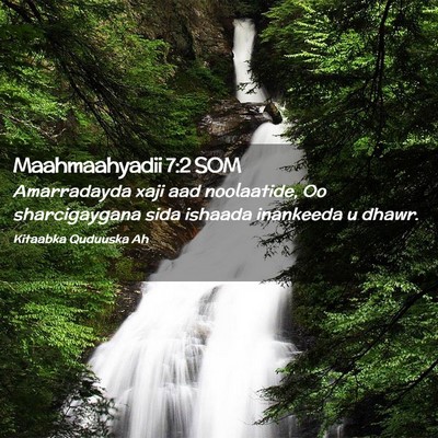 Picture 02 - Maahmaahyadii 7:2 SOM - Amarradayda xaji aad noolaatide, Oo sharcigaygana - Bible Verse Picture