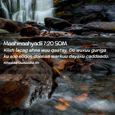 Picture 02 - Maahmaahyadii 7:20 SOM - Kiish lacag ahna wuu qaatay, Oo wuxuu guriga ku - Bible Verse Picture