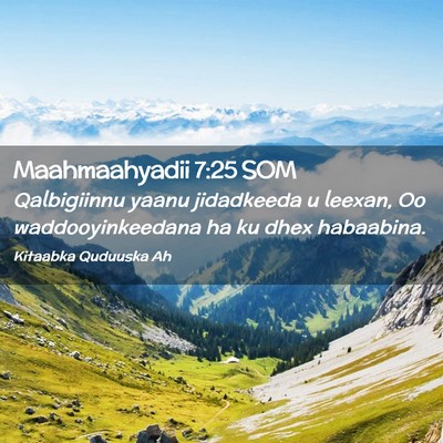 Picture 02 - Maahmaahyadii 7:25 SOM - Qalbigiinnu yaanu jidadkeeda u leexan, Oo - Bible Verse Picture