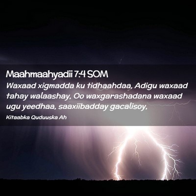 Picture 02 - Maahmaahyadii 7:4 SOM - Waxaad xigmadda ku tidhaahdaa, Adigu waxaad tahay - Bible Verse Picture