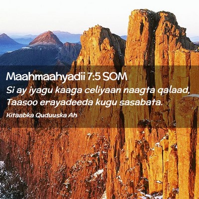Picture 02 - Maahmaahyadii 7:5 SOM - Si ay iyagu kaaga celiyaan naagta qalaad, Taasoo - Bible Verse Picture