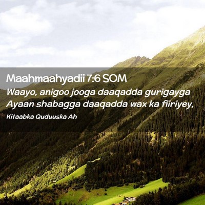Picture 02 - Maahmaahyadii 7:6 SOM - Waayo, anigoo jooga daaqadda gurigayga Ayaan - Bible Verse Picture