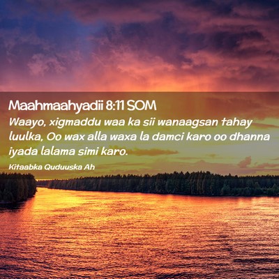 Picture 02 - Maahmaahyadii 8:11 SOM - Waayo, xigmaddu waa ka sii wanaagsan tahay - Bible Verse Picture