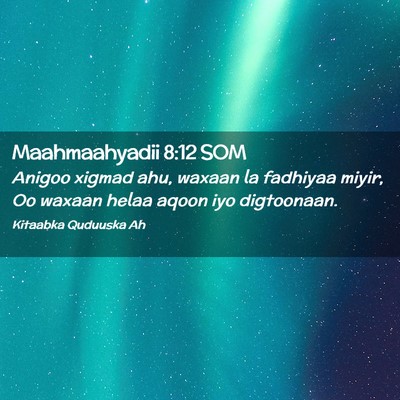 Picture 02 - Maahmaahyadii 8:12 SOM - Anigoo xigmad ahu, waxaan la fadhiyaa miyir, Oo - Bible Verse Picture