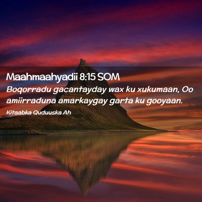 Picture 02 - Maahmaahyadii 8:15 SOM - Boqorradu gacantayday wax ku xukumaan, Oo - Bible Verse Picture