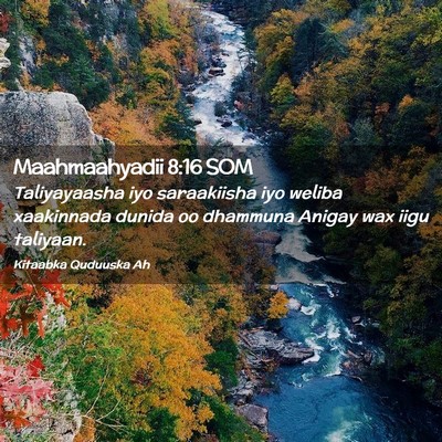 Picture 02 - Maahmaahyadii 8:16 SOM - Taliyayaasha iyo saraakiisha iyo weliba - Bible Verse Picture