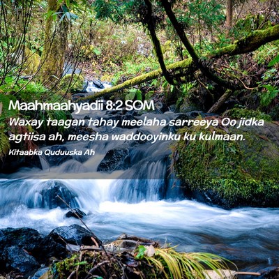 Picture 02 - Maahmaahyadii 8:2 SOM - Waxay taagan tahay meelaha sarreeya Oo jidka - Bible Verse Picture