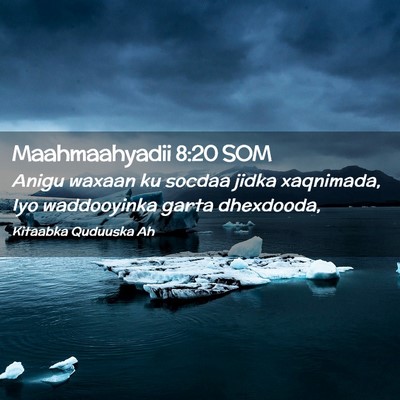Picture 02 - Maahmaahyadii 8:20 SOM - Anigu waxaan ku socdaa jidka xaqnimada, Iyo - Bible Verse Picture