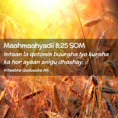 Picture 02 - Maahmaahyadii 8:25 SOM - Intaan la qotomin buuraha Iyo kuraha ka hor ayaan - Bible Verse Picture