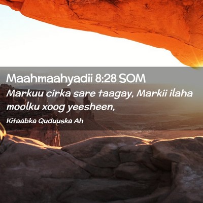 Picture 02 - Maahmaahyadii 8:28 SOM - Markuu cirka sare taagay, Markii ilaha moolku - Bible Verse Picture
