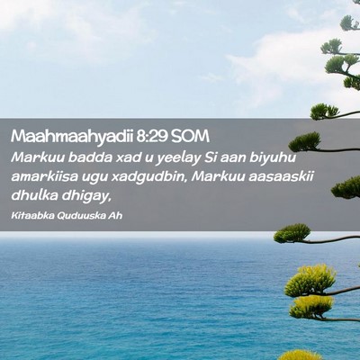 Picture 02 - Maahmaahyadii 8:29 SOM - Markuu badda xad u yeelay Si aan biyuhu amarkiisa - Bible Verse Picture