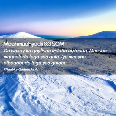 Picture 02 - Maahmaahyadii 8:3 SOM - Oo waxay ka qaylisaa irdaha agtooda, Meesha - Bible Verse Picture