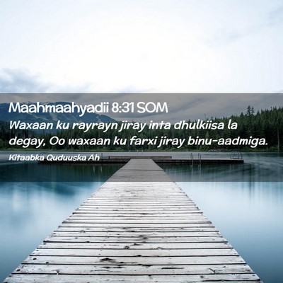 Picture 02 - Maahmaahyadii 8:31 SOM - Waxaan ku rayrayn jiray inta dhulkiisa la degay, - Bible Verse Picture