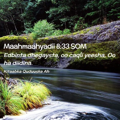 Picture 02 - Maahmaahyadii 8:33 SOM - Edbinta dhegaysta, oo caqli yeesha, Oo ha - Bible Verse Picture