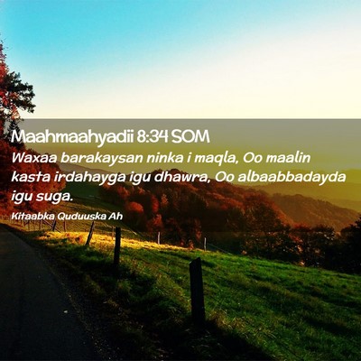 Picture 02 - Maahmaahyadii 8:34 SOM - Waxaa barakaysan ninka i maqla, Oo maalin kasta - Bible Verse Picture