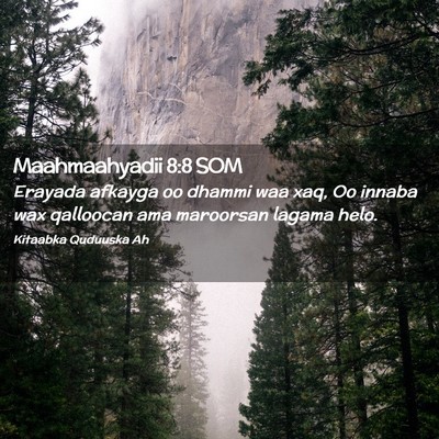 Picture 02 - Maahmaahyadii 8:8 SOM - Erayada afkayga oo dhammi waa xaq, Oo innaba wax - Bible Verse Picture