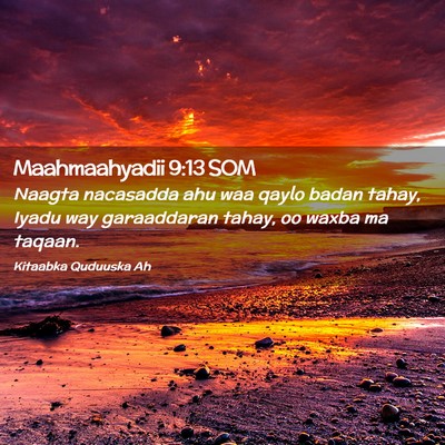 Picture 02 - Maahmaahyadii 9:13 SOM - Naagta nacasadda ahu waa qaylo badan tahay, Iyadu - Bible Verse Picture