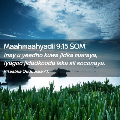 Picture 02 - Maahmaahyadii 9:15 SOM - Inay u yeedho kuwa jidka maraya, Iyagoo - Bible Verse Picture