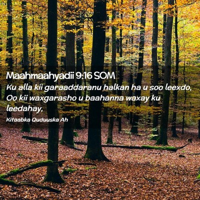 Picture 02 - Maahmaahyadii 9:16 SOM - Ku alla kii garaaddaranu halkan ha u soo leexdo, - Bible Verse Picture