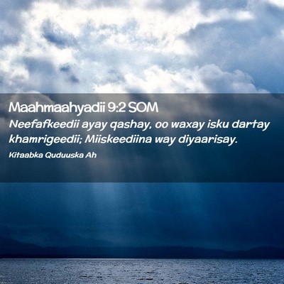 Picture 02 - Maahmaahyadii 9:2 SOM - Neefafkeedii ayay qashay, oo waxay isku dartay - Bible Verse Picture