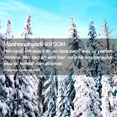 Picture 02 - Maahmaahyadii 9:9 SOM - Nin caqli leh wax bar, oo isna caqli wuu sii - Bible Verse Picture