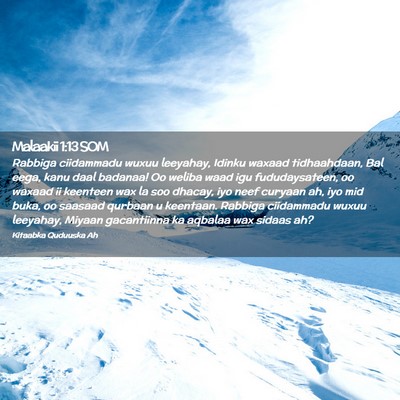 Picture 02 - Malaakii 1:13 SOM - Rabbiga ciidammadu wuxuu leeyahay, Idinku waxaad - Bible Verse Picture