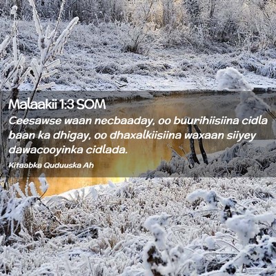 Picture 02 - Malaakii 1:3 SOM - Ceesawse waan necbaaday, oo buurihiisiina cidla - Bible Verse Picture
