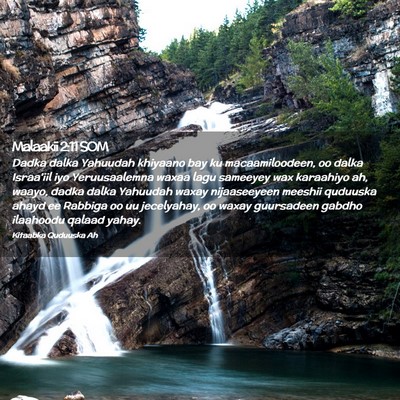 Picture 02 - Malaakii 2:11 SOM - Dadka dalka Yahuudah khiyaano bay ku - Bible Verse Picture