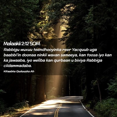 Picture 02 - Malaakii 2:12 SOM - Rabbigu wuxuu teendhooyinka reer Yacquub uga - Bible Verse Picture