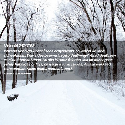 Picture 02 - Malaakii 2:17 SOM - Waxaad Rabbiga ku daaliseen erayadiinna, oo - Bible Verse Picture
