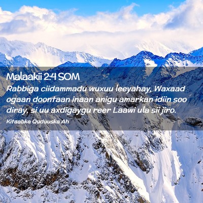 Picture 02 - Malaakii 2:4 SOM - Rabbiga ciidammadu wuxuu leeyahay, Waxaad ogaan - Bible Verse Picture