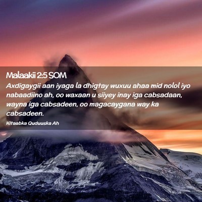 Picture 02 - Malaakii 2:5 SOM - Axdigaygii aan iyaga la dhigtay wuxuu ahaa mid - Bible Verse Picture
