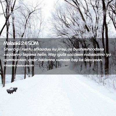 Picture 02 - Malaakii 2:6 SOM - Sharcigii runtu afkooduu ku jiray, oo - Bible Verse Picture